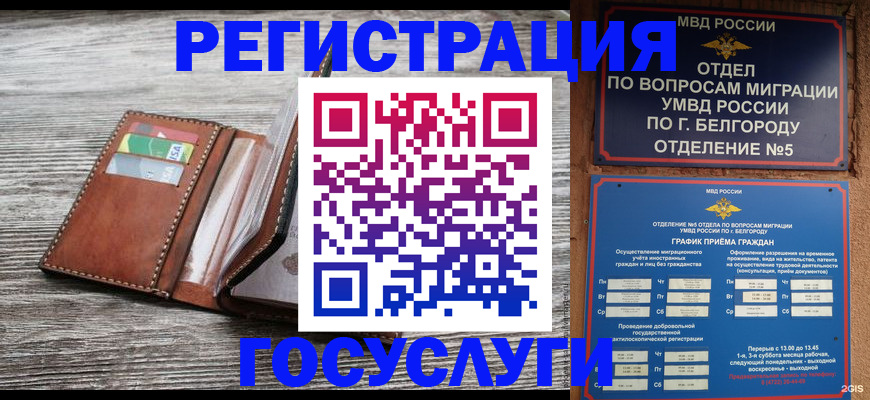 временная регистрация гарантия в Новороссийске